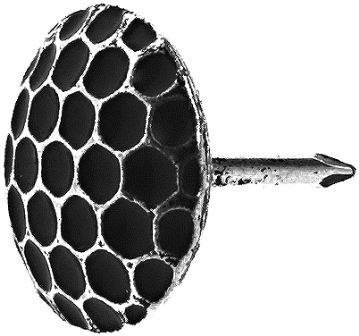 HSI PINEZKI TAPICERSKIE Z FAKTURĄ 12MM 080700 HSI PINEZKI TAPICERSKIE Z FAKTURĄ 12MM 080700