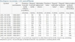 UN DYBEL RAMOWY Z HAKIEM KĄTOWYM ARL 10/100MM