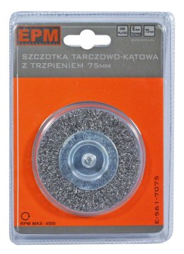 EPM SZCZOTKA TARCZOWA Z TRZPIENIEM 100MM ZN