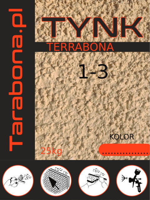 Tynk Terrabona 1-3 kolor biały