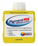 INCHEM INCHEM PIGMENT MIX LIMONKA 80ML