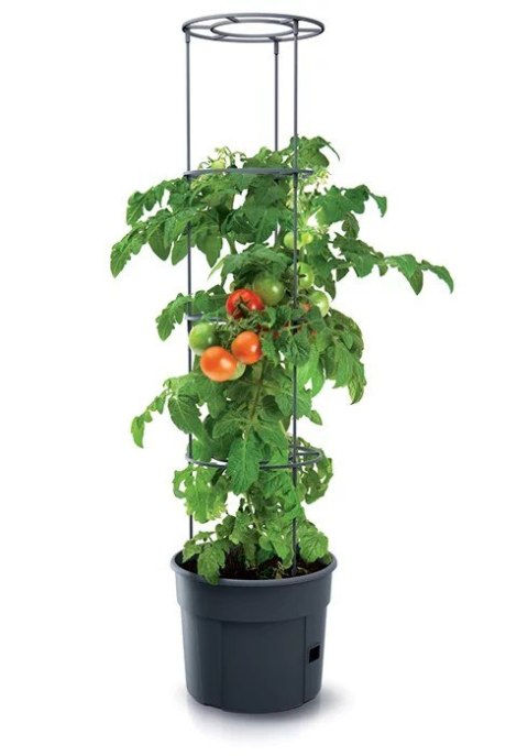 PROSPERPLAST DONICZKA TOMATO GROWER - ANTRACYTOWY 28L PROSPERPLAST DONICZKA TOMATO GROWER - ANTRACYTOWY 28L