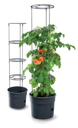 PROSPERPLAST DONICZKA TOMATO GROWER - ANTRACYTOWY 12L