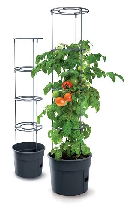 PROSPERPLAST DONICZKA TOMATO GROWER - ANTRACYTOWY 12L PROSPERPLAST DONICZKA TOMATO GROWER - ANTRACYTOWY 12L