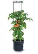 PROSPERPLAST DONICZKA TOMATO GROWER - ANTRACYTOWY 12L