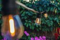 NEO GIRLANDA 20M + 22 ŻARÓWKI FILAMENT