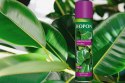 BIOPON NABŁYSZCZACZ DO LIŚCI SPRAY 250 ML BIOPON