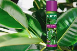 BIOPON NABŁYSZCZACZ DO LIŚCI SPRAY 250 ML BIOPON