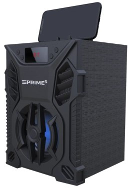 BLAUPUNKT GŁOŚNIK PRZENOŚNY Z FUNKCJĄ KARAOKE VICE APS11