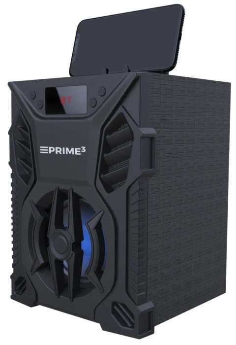 BLAUPUNKT GŁOŚNIK PRZENOŚNY Z FUNKCJĄ KARAOKE VICE APS11